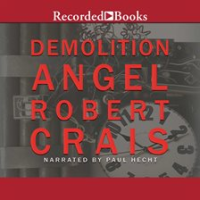 Demolition_Angel